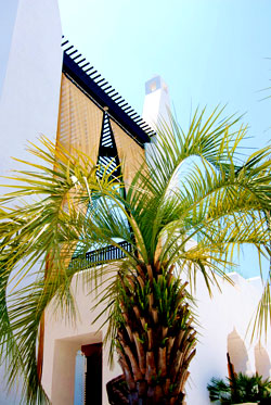 Alys Beach Community